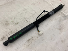 ⭕ 16-25 Model X Primary Rear Left / Front Right Door Lift Gas Strut 1063440-00-D