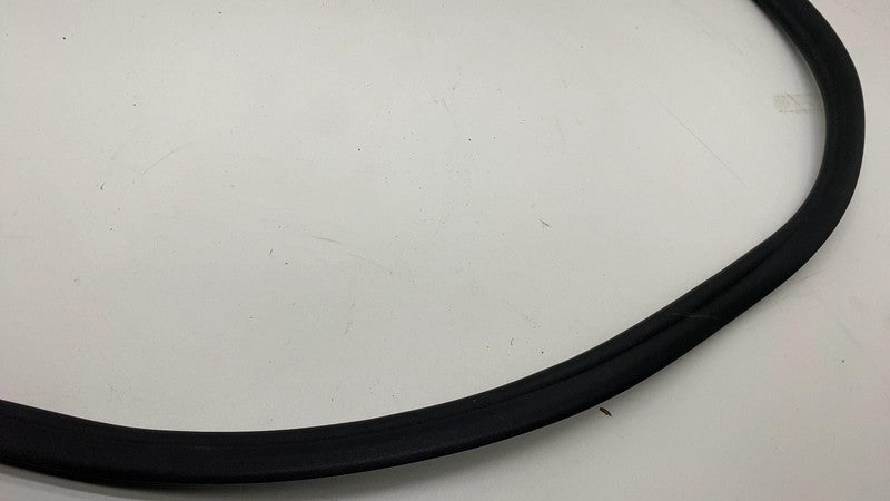 2019-2021 BMW 530e G30 Front Passenger Side Door Weatherstrip Rubber S
