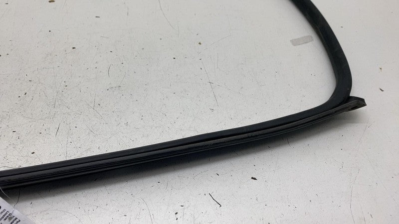 ⭕ 14-20 Maserati Ghibli Front Left Door Window Weatherstrip Rubber Seal Gasket