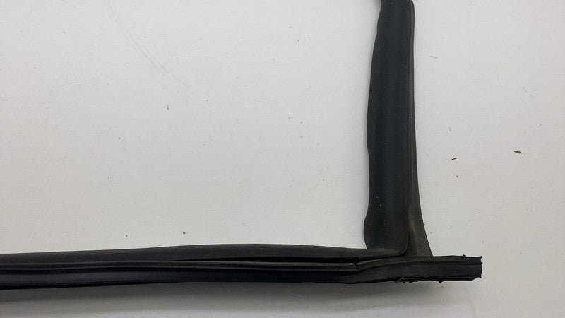 2017-2023 Tesla Model 3 Rear Driver Side Left Door Primary Weatherstri