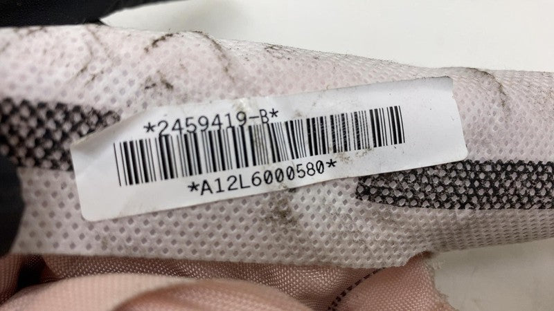 ⭕ 2012-2020 Tesla Model S MS Left Driver Roof Curtain Airbag OEM LH 10