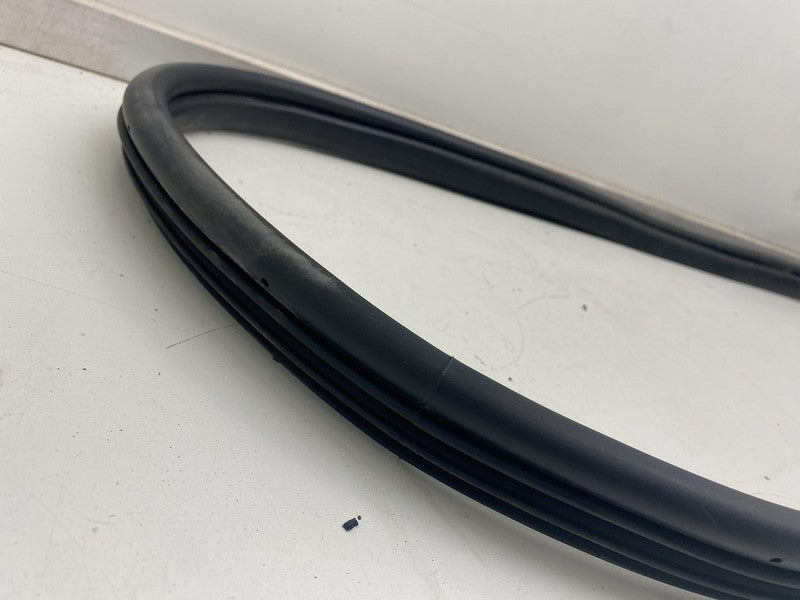 ⭕ 22-24 Hyundai Ioniq 5 Rear Passenger Side Door Weatherstrip Rubber Seal Right