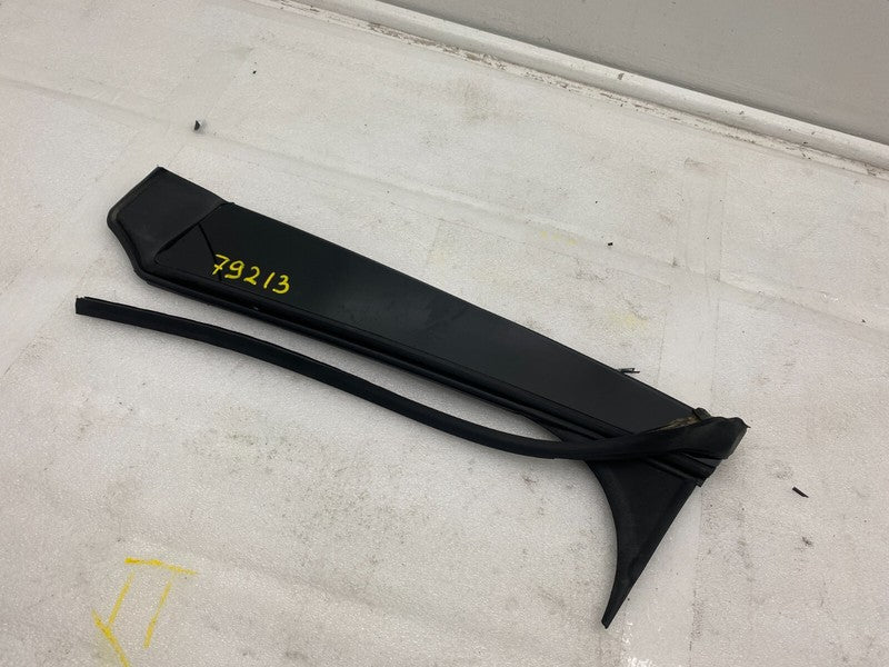 103236400C ⭕ 2016-2020 Tesla Model X B-Pillar Applique Glass Right w/ Seal OEM 1032364-00-C