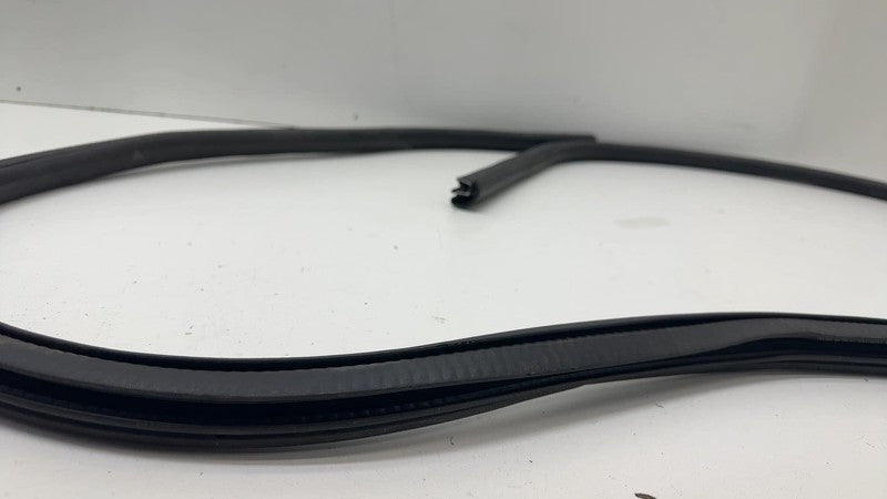 ⭕ 21-24 Mustang Mach-E Front Passenger Right Door Body Weatherstrip Rubber Seal