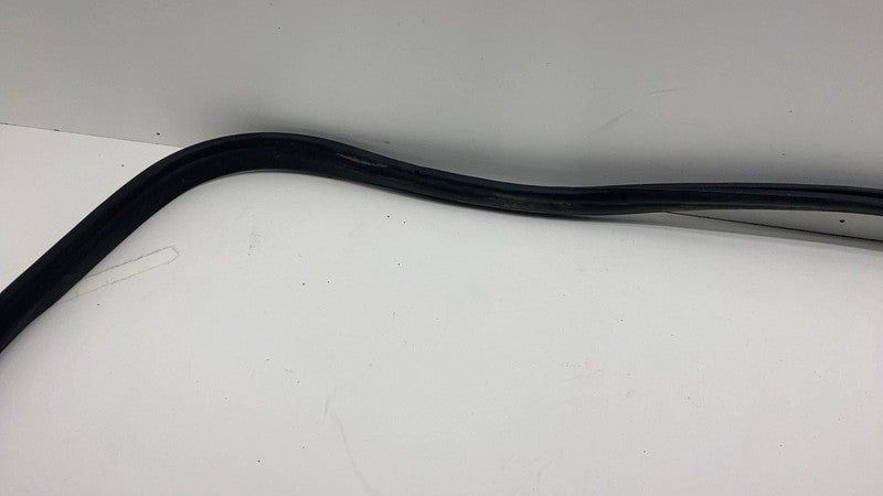 2017-2023 Tesla Model 3 Rear Passenger Right Door Body Weatherstrip Rubber Seal