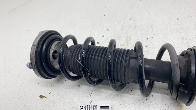 ⭕2017-2020 BMW 540i Rear Right Shock Strut Absorber w/ Coil Spring OEM
