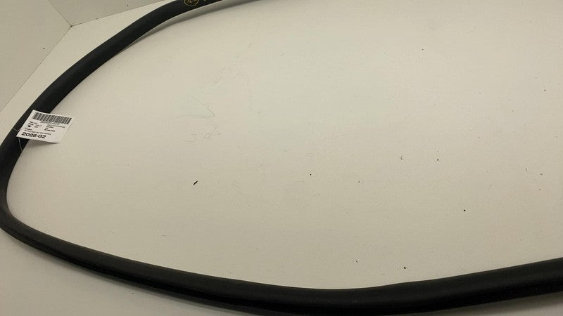 2020-2023 Tesla Model Y Front Passenger Right Door Body Weatherstrip Rubber Seal