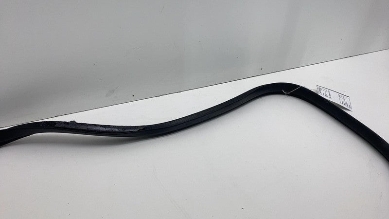 2017-2023 Tesla Model 3 Front Passenger Door Primary Weatherstrip Seal