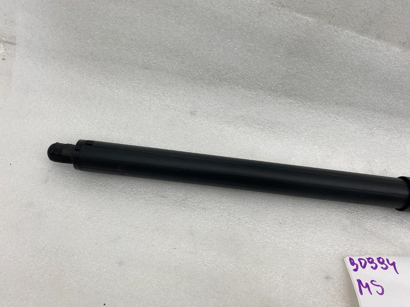 ⭕ 2012-2025 Tesla Model S Rear Left Liftgate Trunk Spring Strut LH 600