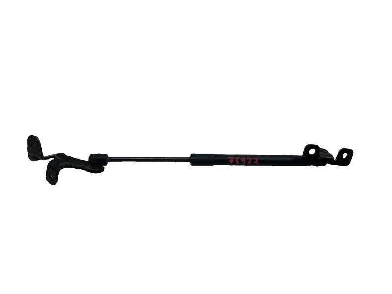 ⭕ 17-23 Model 3 Front Left Bonnet Hood Shock Strut Lift Support OEM 1091472-00-B