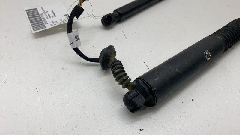 155148900B ⭕ 2017-2023 Model 3 M3 PAIR of Rear Trunk Lid Tailgate Shock Struts 1551489-00-B