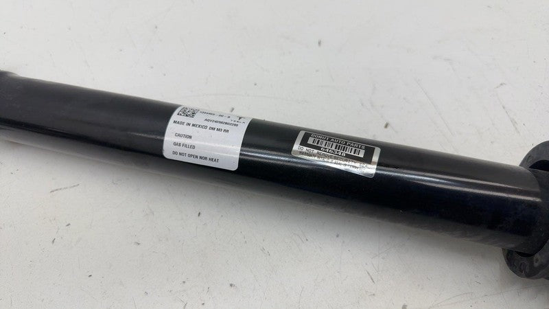 134446500B ⭕24-25 Tesla Model 3 Rear Left Shock Strut Absorber Coil Damper RWD 1344465-00-B