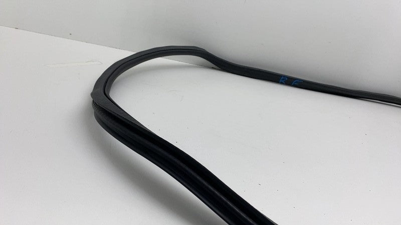 2019-2021 BMW 530e G30 Front Passenger Side Door Weatherstrip Rubber S