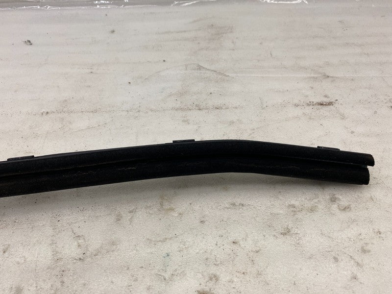 ⭕2012-2020 Tesla Model S Rear Driver Side Door Inner Belt Seal Body Cl