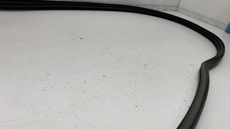 ⭕ 2020-2023 Tesla Model Y Front Driver Left Door Body Weatherstrip Rub
