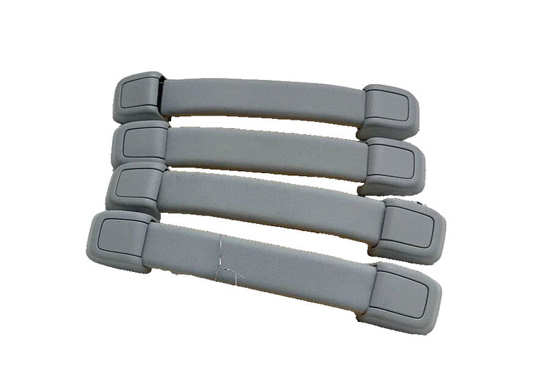 ⭕ 2022 2023 2024 Rivian R1T Set of 4 Roof Headliner Grab Grip Handle O