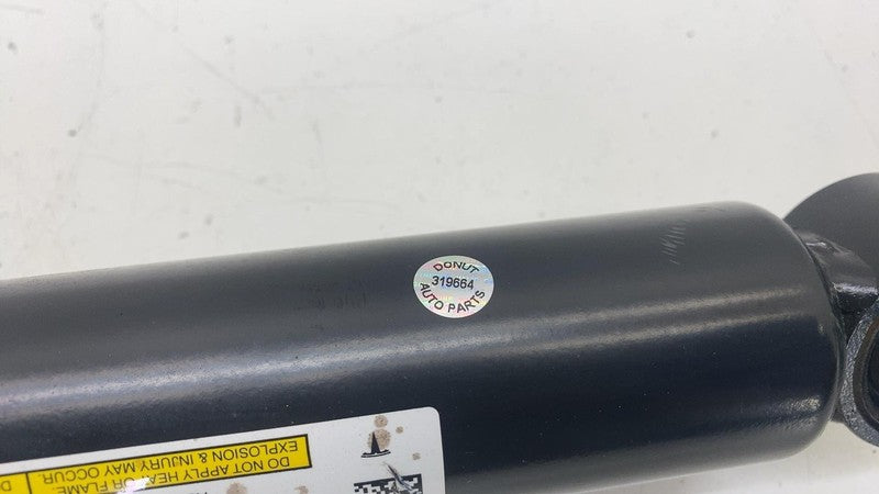 ⭕ 16-20 Model S Rear Right Suspension Air Spring Shock Absorber OEM 10