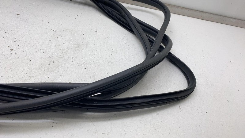 2022-2024 Kia EV6 Front & Rear Left  & Right  Door Body Weatherstrip Rubber Seal