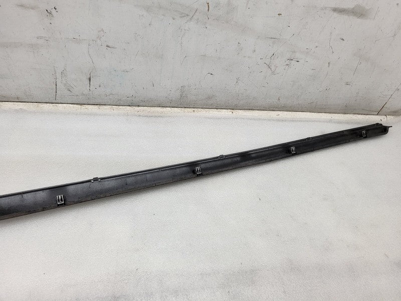 101221500F ⭕ 12-25 Model S Driver Side Rocker Panel Scuff Plate Molding Left 1012215-00-F