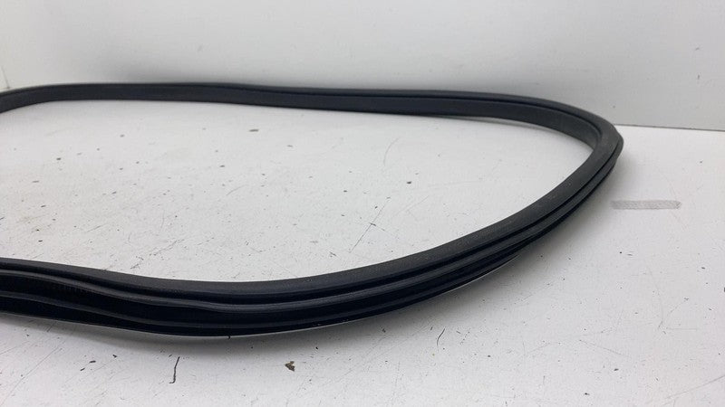 ⭕ 18-24 Lincoln Navigator Rear Left Door Body Weatherstrip Seal JLB-40