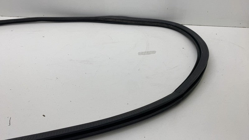 ⭕ 22-24 Rivian R1T R1S Rear Passenger Side Door Weatherstrip Rubber Seal Right