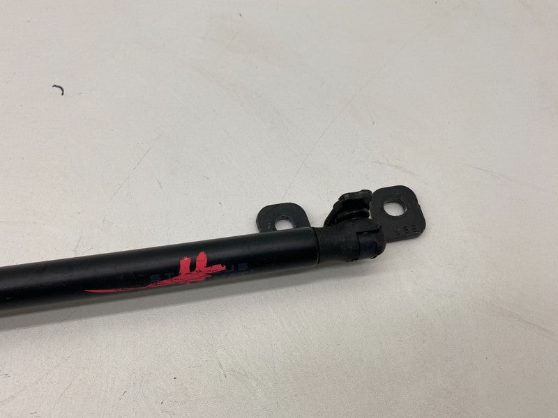 ⭕ 2017-2023 Tesla Model 3 Front Driver Side Hood Lift Shock Strut Support Left