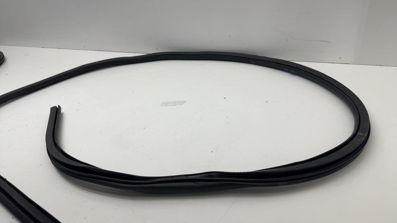 ⭕ 21-24 Mustang Mach-E Rear Passenger Right Door Body Weatherstrip Rubber Seal