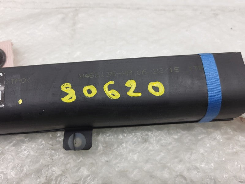 1005261 00 D ⭕ 12-20 Tesla Model S Driver Side Roof Curtain Safety Airbag Left 1005261-00-D