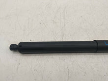 ⭕ 16-20 Model X MX Rear Driver Side Power Liftgate Shock Strut Left 1065664-00-A