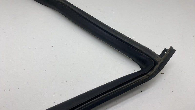 ⭕ 17-23 Tesla Model 3 Rear Driver Side Left Door Primary Weatherstrip 