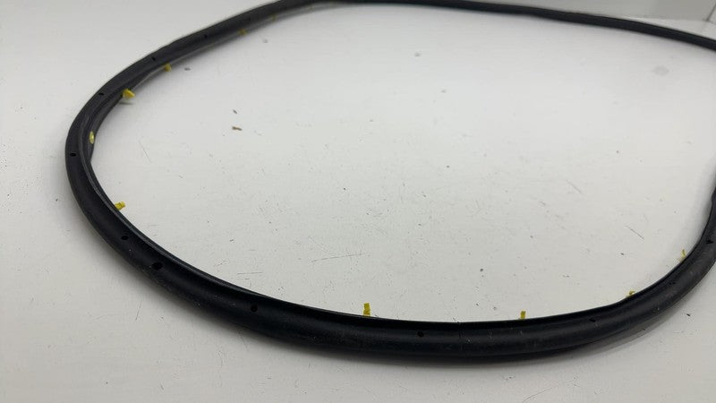LJ8B-R20530 ⭕ 2021 2022 2023 2024 Ford Mustang Mach-E Front Door Weatherstrip Seal OEM