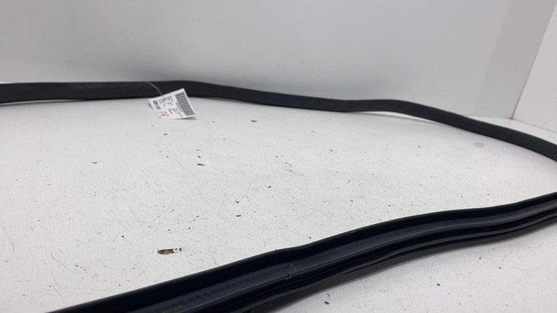 ⭕20-26 Tesla Model Y Front Door Body Weatherstrip Rubber Seal Right 14