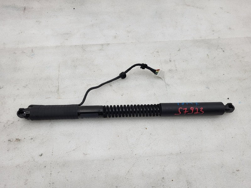 1063440 00 D 16-22 Model X Rear Left Front Right Falcon Door Shock Strut Support 1063440-00-D