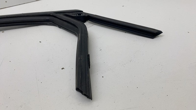 LJ8BR25825AE ⭕ 21-24 Ford Mustang Mach-E Rear Left Door Window Rubber Seal OEM LJ8B-R25825-AE