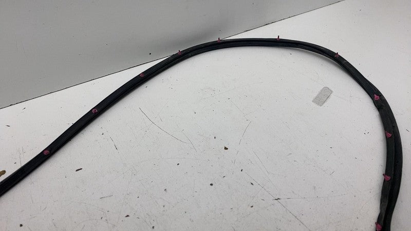 ⭕ 23-25 Toyota Prius Front Right Door Body Weatherstrip Rubber Seal 67