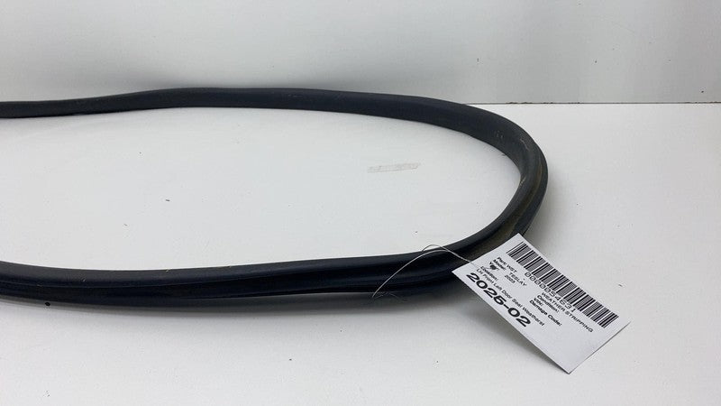 2020-2023 Tesla Model Y MY Front Driver Left Door Body Weatherstrip Rubber Seal