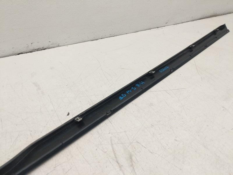 ⭕ 12-25 Model S Passenger Rocker Skirt Molding Scuff Panel Right RH 10