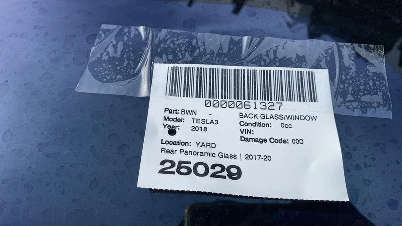 ⭕ 17-20 Model 3 M3 Trunk Panoramic Backlite Roof Glass Back Section 10