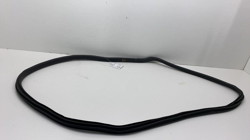 2024 Tesla Cybertruck Rear Passenger Right Door Seal Gasket Weather St