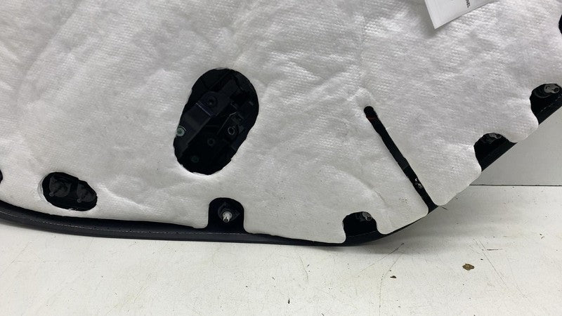 ⭕2017-2020 Tesla Model 3 Rear Passenger Side Interior Door Panel Trim 