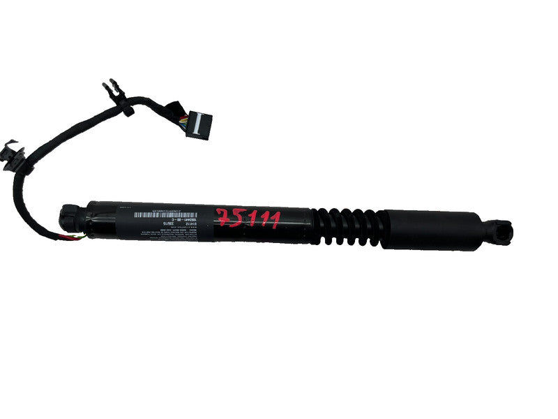 ⭕16-25 Model X Rear Left/Right Secondary Falcon Door Lift Gas Strut 1063441-00-C