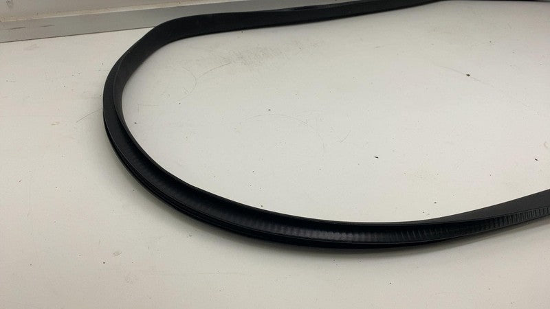 ⭕ 20-23 Tesla Model Y Rear Driver Side Door Body Weatherstrip Rubber S
