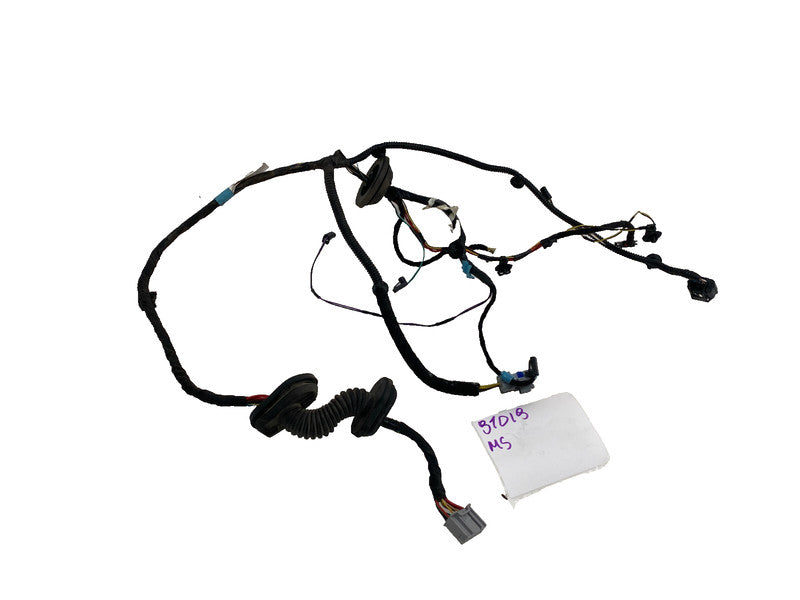 ⭕ 12-20 Model S Rear Passenger Door Wiring Harness Wire Loom Right 100