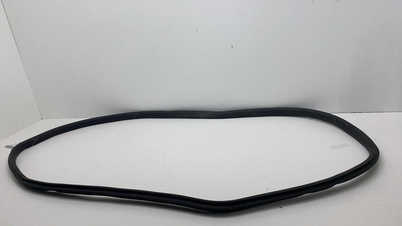 2020-2023 Tesla Model Y Front Passenger Right Door Body Weatherstrip Rubber Seal