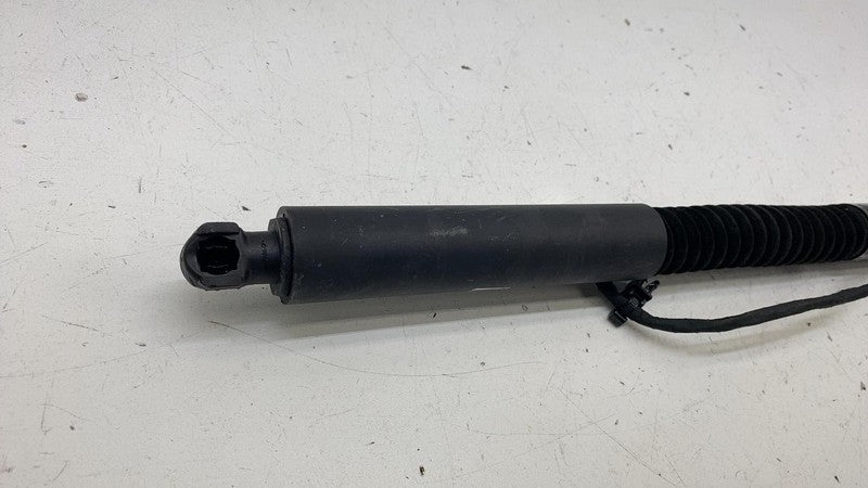 ⭕ 2016-2023 Tesla Model X Rear Left / Front Right Primary Door Lift Gas Strut