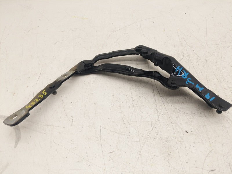 ⭕ 2017-2020 Tesla Model 3 Rear Passenger Tailgate Trunk Lid Liftgate H