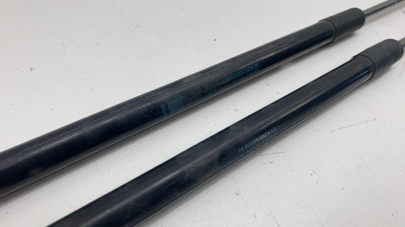 A2429800564 ⭕ 14-17 Mercedes-Benz B-Class Front Left & Right Hood Strut Damper A2429800564