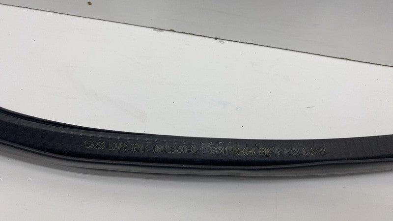 2017-2023 Tesla Model 3 Front Passenger Door Primary Weatherstrip Seal