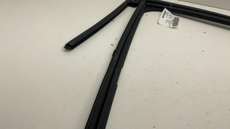 LJ8BR25825AE ⭕ 21-24 Ford Mustang Mach-E Rear Left Door Window Rubber Seal OEM LJ8B-R25825-AE