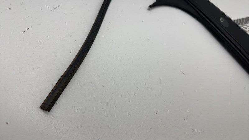 106910400D ⭕16-20 Model X Left B-Pillar Applique Trim Molding w/ Camera & Seal 1083901-00-B